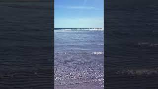 Somewhere in the Sun ️ #florida #floridabeachhouse #floridatravel #beach #travel #floridavacation