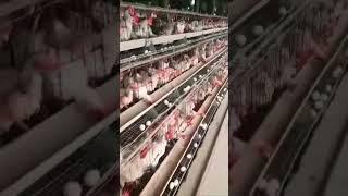 viral video