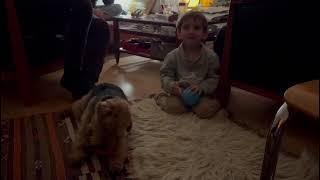 Simon imitates dog !!! #baby#simon#dog