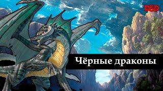 Кто такие чёрные драконы? | D&D Lore