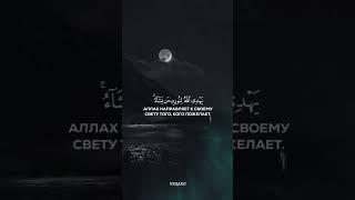 ОДИН СВЕТ ПОВЕРХ ДРУГОГО