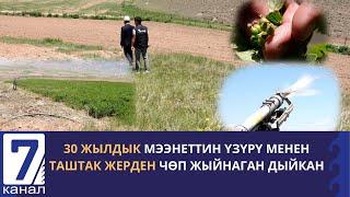 ЧОҢ- АЛАЙДАГЫ ДЫЙКАНДАРДЫН ҮМҮТҮ ЧЫЧЫРКАНАК,КАРАГАТ ЖАНА КАРТОШКА