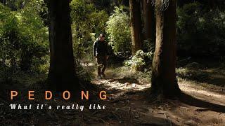 PEDONG | The Underrated Destination in Bengal