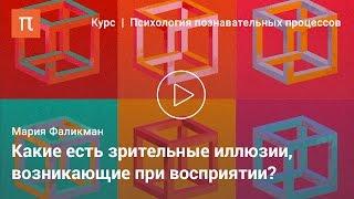 Основные феномены восприятия — Мария Фаликман