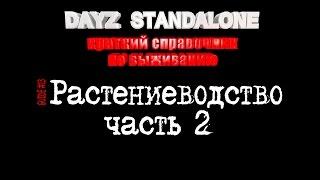 Dayz Staandalone. Гайд #13. Как выращивать овощи - часть 2.