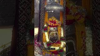 Bholebaba  Mahakal Ujjain #shiv #mahadev #mahadevstatus #mahakal #shorts #bholenath #baba #ujjain