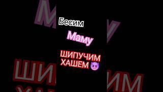 ШИПУЧИЙ ХАШ  С МАМОЙ#shorts #rek #рекомендации #рек #реки