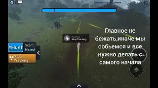 как охотиться в новой обнове в WCUE(Warrior Cats Unimation Edition)(#оле7#game#mystic#игра#doohrysi)