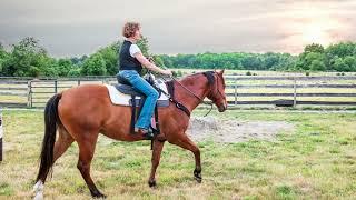 Ollie's Barrel and Flag Session-now with music! Watch Ollie step out to music in his lovely way!