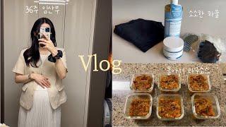 vlog | 36주 임산부, 드디어 산 요요2 휴대용 유모차, 헤어집게핀/스킨케어 소소한 하울, 돌아기 라구소스 만들기, 인생 떡볶이 밀키트 찾았다!