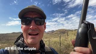 3 Quail Hunting Tips