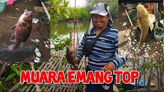 Mancing di muara // dapat ikan ikan mahal kawan