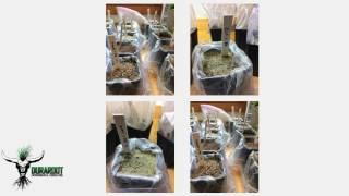 Waste Rock to Biomineral Fertilizer  – Harley