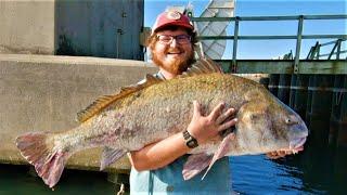 HECK-OF-A-DAY Fishing That Bridge