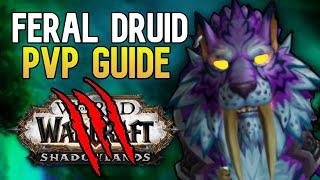 9.0 FERAL DRUID SHADOWLANDS PVP GUIDE | Talents, Legendaries, Covenants, Rotation and MORE!