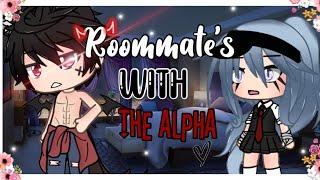 Roommates With The Alpha?! Original Gacha Life Mini Movie