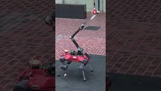 AI-powered robot learns to play badminton against humans