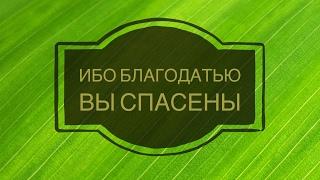 Ибо благодатью вы спасены  - Петр Ткачук (Ефесянам 2:8)