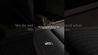 Are you a true believer, a real muslim? #islamisthetruth #quran #deensquad #islam #muslimcorner