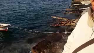 Nermin Taşpınarlı boğaz havası harika