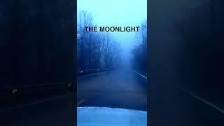 The Moonlight - Out October 25