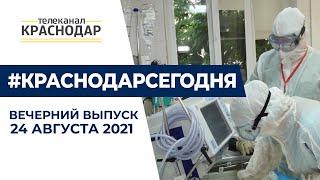 Как коронавирус повлиял на беременность краснодарки? О новостях города в вечернем выпуске 24 августа