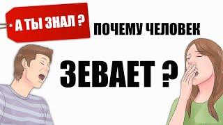 Почему человек ЗЕВАЕТ? А ты знал?