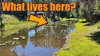 Fishing SKETCHY FLORIDA CANALS!!! | First Time Catching One of These (Multi-Species)