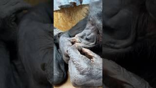 Отметь Свою Подругу Или Жену! Разве Есть Отличия?