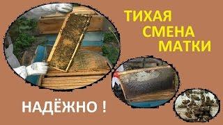 Тихая смена матки самая надежная