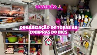 ORGANIZEI TODAS AS COMPRAS DO MÊS | FREEZER E DISPENSA OK LIMPEI TODA COZINHA. Lar da Elzi