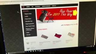 Good Chinchilla Websites & Brands