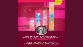 Flute Sonata in A Minor, Wq. 128, H. 555: I. Andante