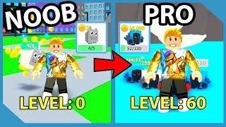 Noob To Pro! Full Team Of Dominus Pets! Level 60 Max Speed! Roblox Pet Walking Simulator