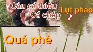 Fising câu cá thiểu cá ngão sông quá đã…