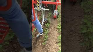 ROTOSARK INTER ROW WEEDING MACHINE SARCHIATRICE INTERFILARE PER SOJA SOIA BINEUSE SOJA BINADORA SOYA