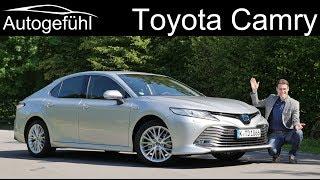 Toyota Camry Hybrid FULL REVIEW Camry XV70 - Autogefühl