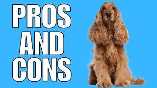 COCKER SPANIEL Pros And Cons (Shocking)