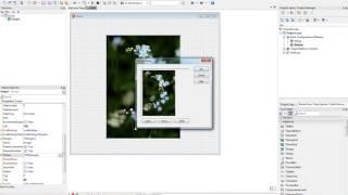 Delphi Timage