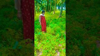 The human body transports water, greening the desert is funny special effects desert greening