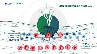 Stabilised Ammonium Nitrate by Uralchem Group