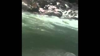 Father's Day at the South Yuba