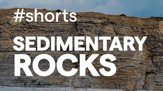 Sedimentary Rocks in One Minute #Shorts