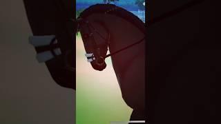 Test riding a horse #horse #equinegame #equestrain #horsefan #edit