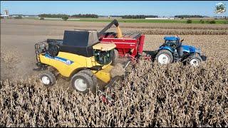 Corn Harvest 2024 near Versailles Ohio | New Holland Combine