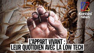 Appart' "vivant" : leur quotidien dans 28m2 avec la low tech | Reportage