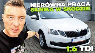 WSTĘPNA DIAGNOZA NIERÓWNOMIERNEJ PRACY 1.6 TDI!