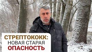 Стрептококк: новая старая опасность (English subs)