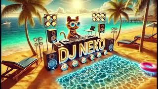 NEKO DJ - MEGA MIX  VERANO ENERO 2025 (MUSICA VARIADA) FIESTON VOL-1