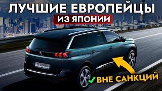 ЛУЧШИЕ ЕВРОПЕЙСКИЕ АВТО ВНЕ САНКЦИЙ️ Что купить из Японии в 2024